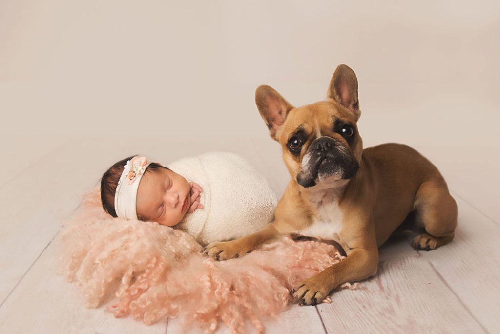 Ensaio Fotógrafico Newborn Pet 5 Ensaio Fotógrafico Newborn Pet