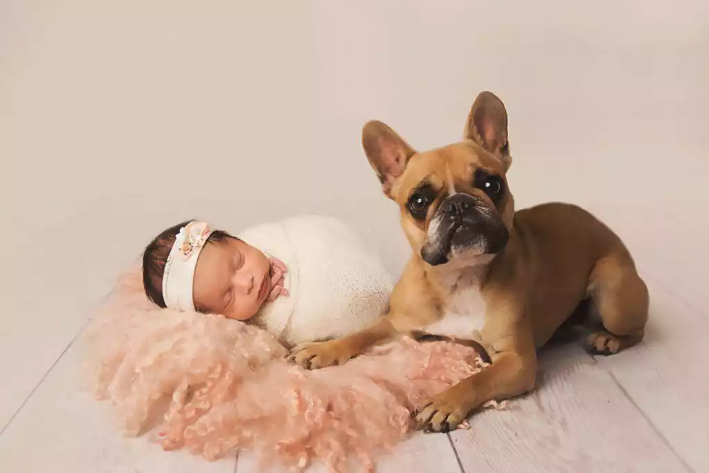Ensaio Fotógrafico Newborn Pet